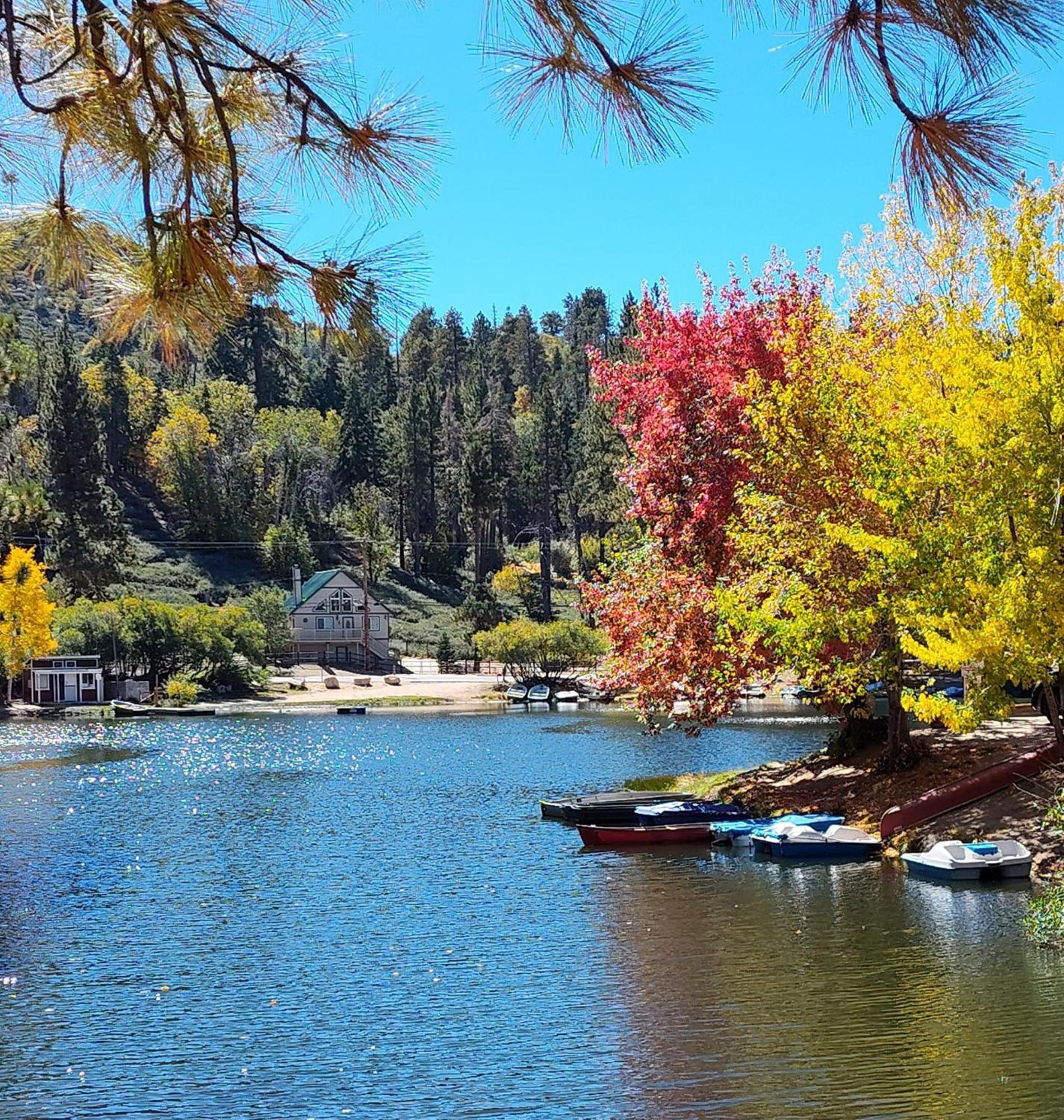 Snow Bunny Cottage, Pets Welcomed! Green Valley Lake Экстерьер фото