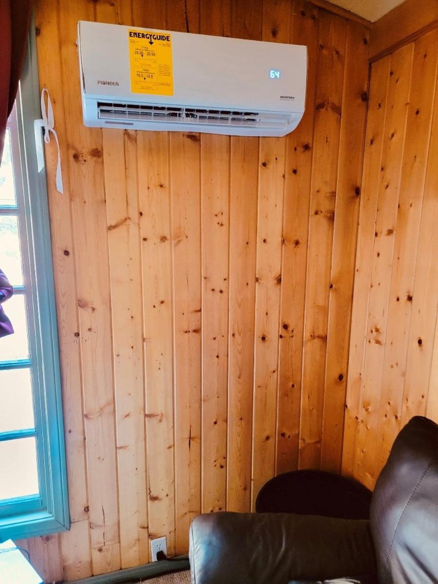 Snow Bunny Cottage, Pets Welcomed! Green Valley Lake Экстерьер фото