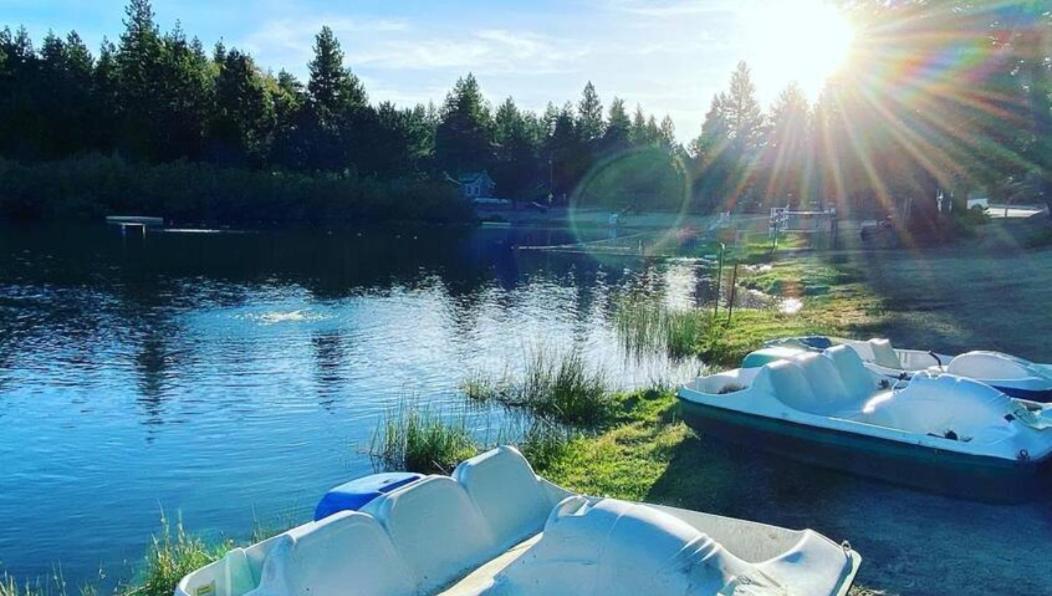 Snow Bunny Cottage, Pets Welcomed! Green Valley Lake Экстерьер фото